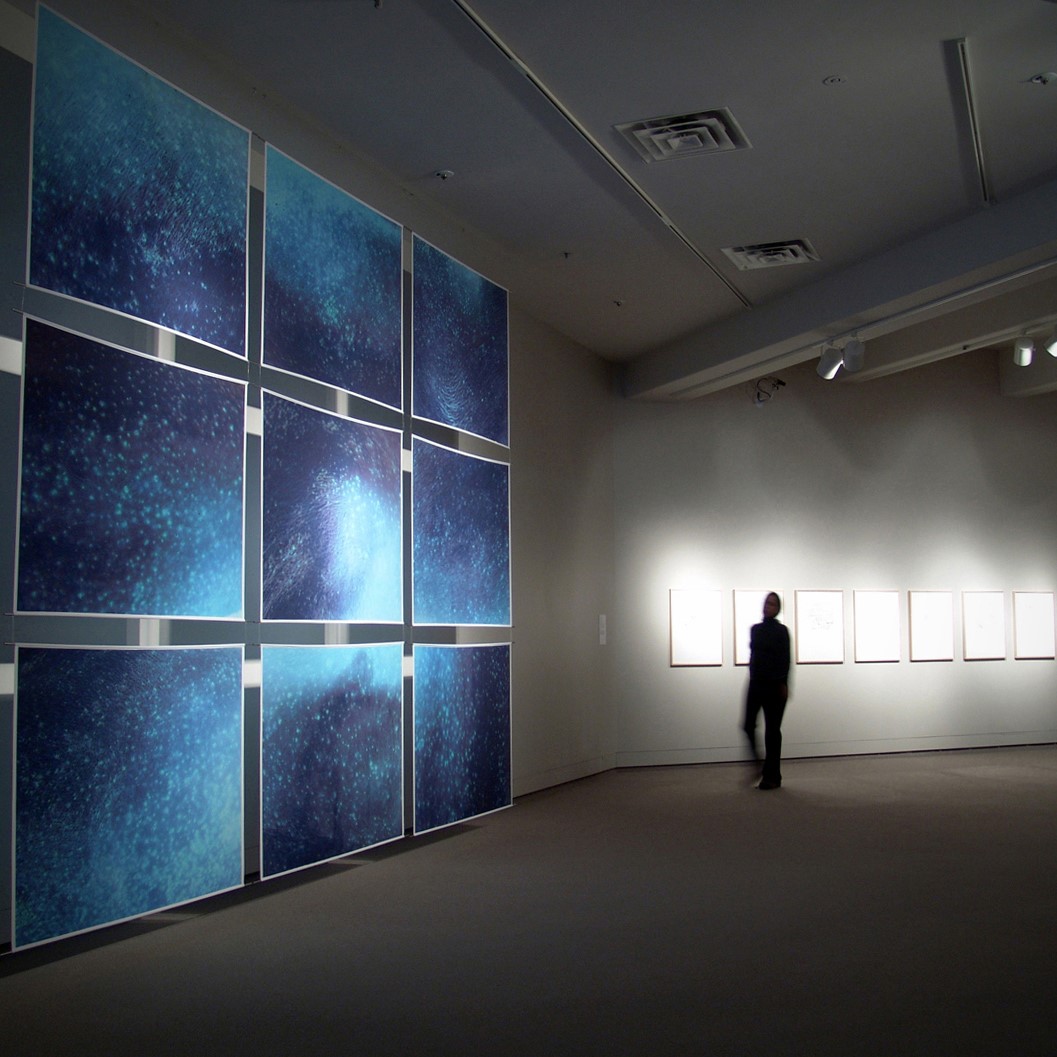 Gabriela Garcia Luna - On the skin of my father installation. 6 panels of a starry sky
