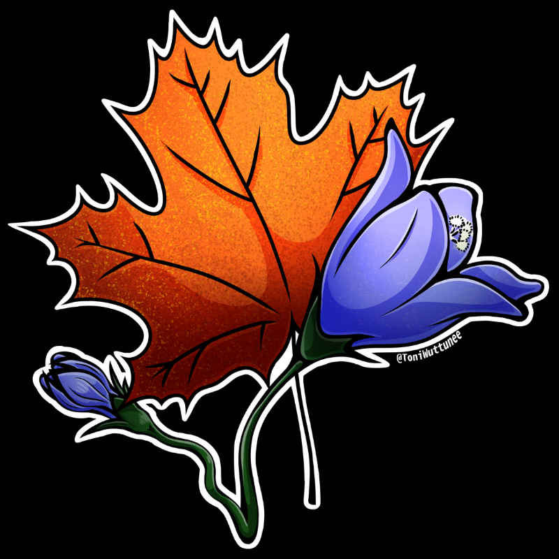 Toni Wuttunee - Cartoonish artwork picture of orange maple leaf and violet orchid.