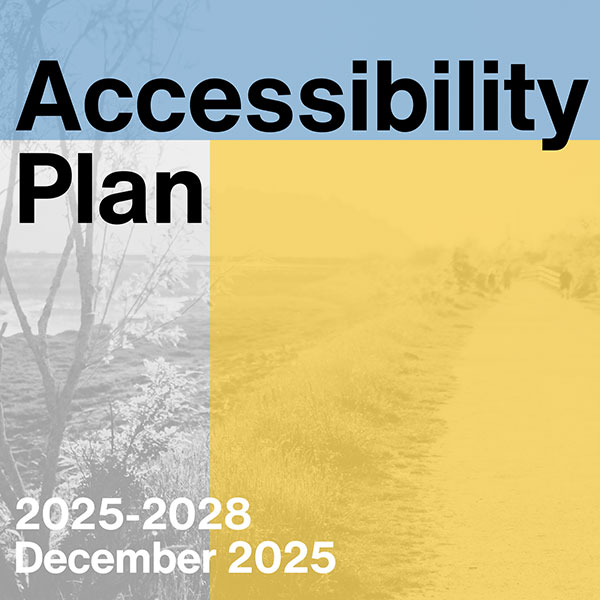 SK Arts - Accessibility Plan