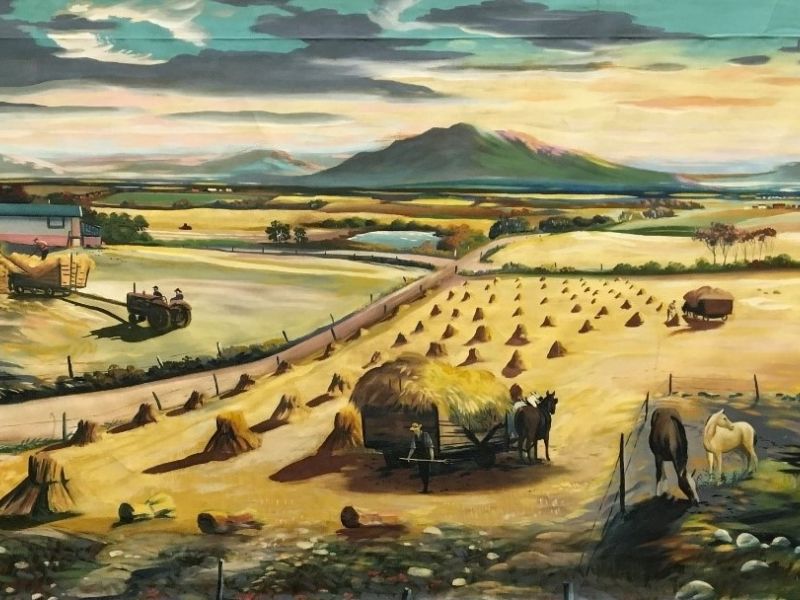 24 fisher golden acres 1961 62 24 fisher golden acres 1961 62